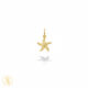 آویز طلا ستاره دریایی| نماد زیبایی و ظرافت | سین گلد گالری